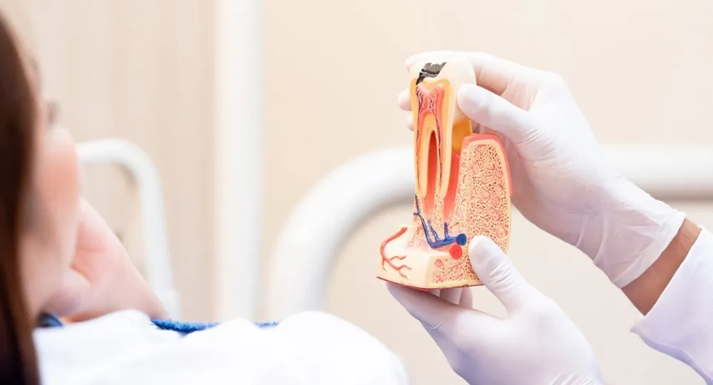 Holistic Dentistry for Whole Body Health